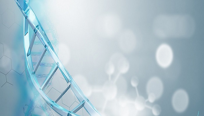 �޺�ù�ص������빦Ч �޺�ù���кι�Ч������